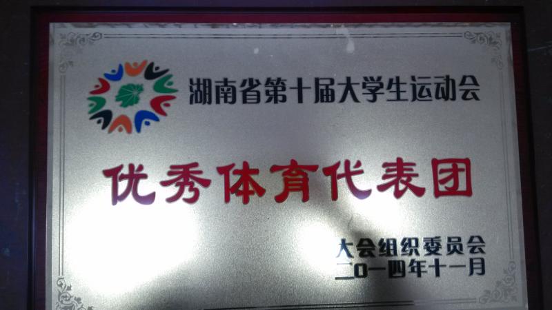 优秀体育代表团奖状
